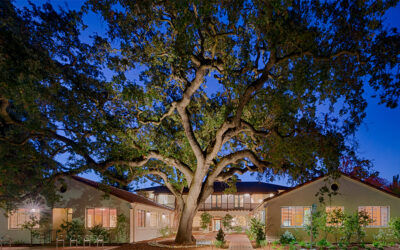 Palo Alto Daily Post: Museum finally has an opening date